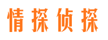 鸡冠市私人侦探